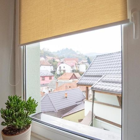 Brasha Residence Braşov Dış mekan fotoğraf