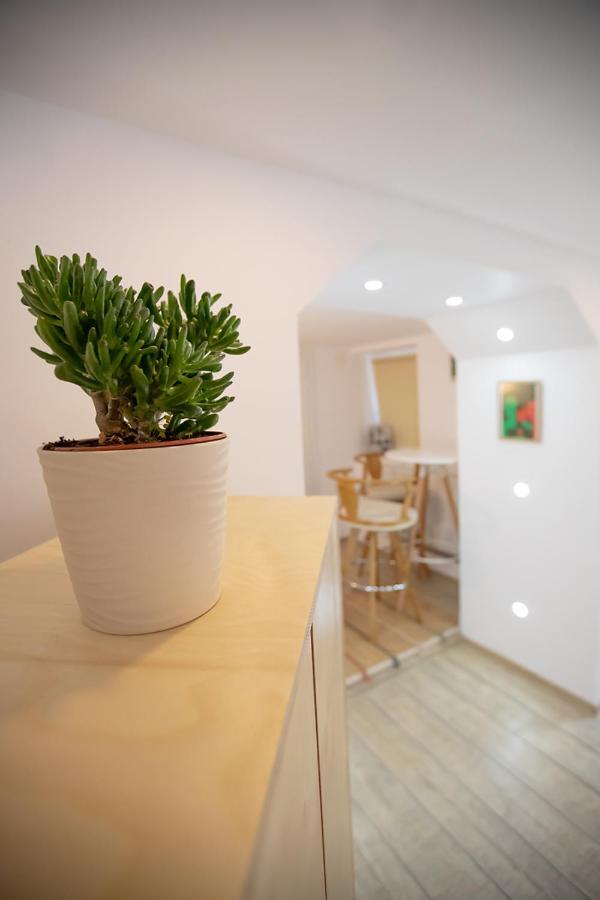 Brasha Residence Braşov Dış mekan fotoğraf